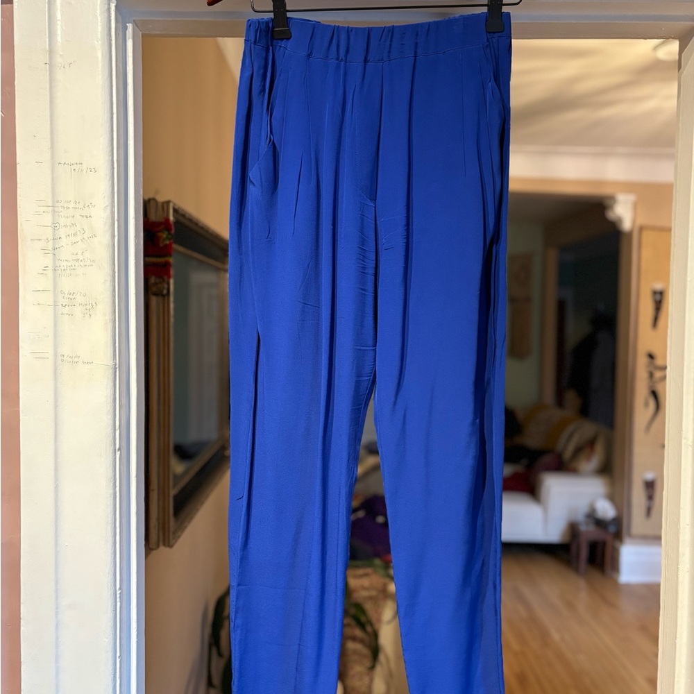 Silk Cobalt Blue Pants